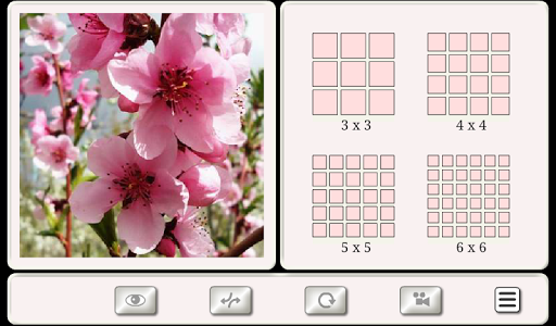 Guess the Flower Tile Puzzles