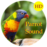 Parrot Sounds and Ringtones icon