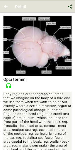 Anatomy of Hen kokos book Screen 2