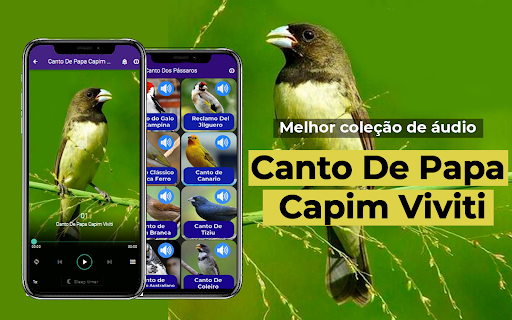 Android application Canto De Papa-Capim viviti screenshort