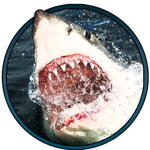Fatty Shark logo