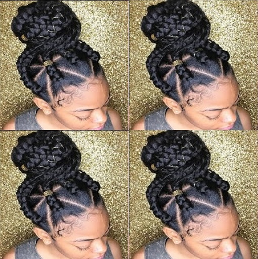 Box Braids Hairstyles