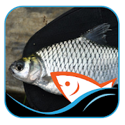 Top 17 Books & Reference Apps Like Fish bait Tawes - Best Alternatives