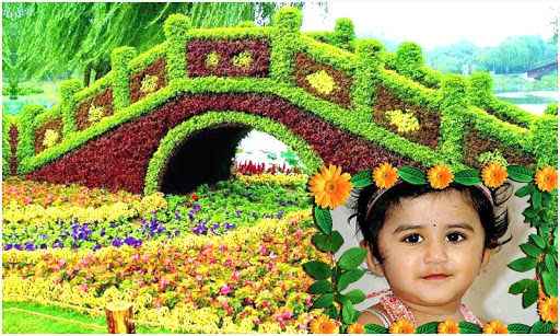 Beautiful Garden Photo Gallery Screen 2