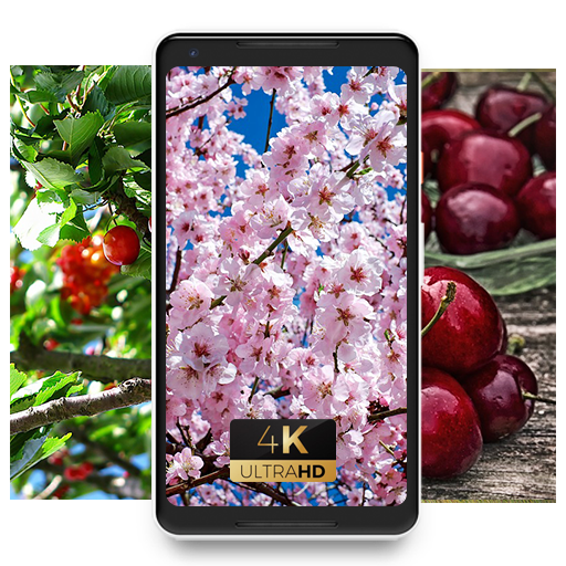 Cherries nature beauty awesome pics nice Wallpaper