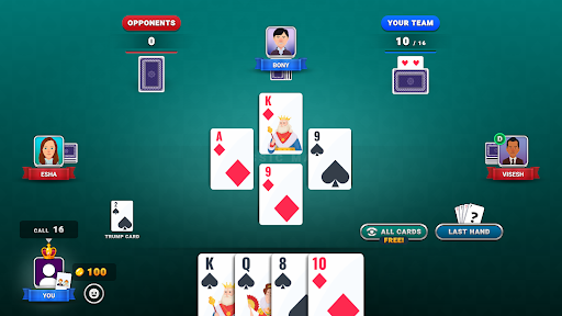 29 Classic - Offline Card Game screenshot 13