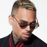 Chris Brown 2020 Offline (45 Songs) icon