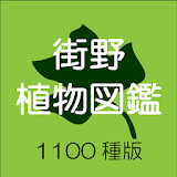 街野植物図鑑　1100種版 icon