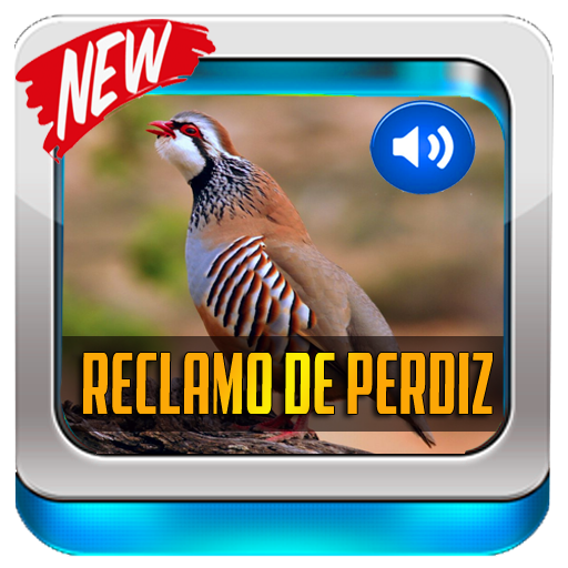 Reclamo De Perdiz 2020