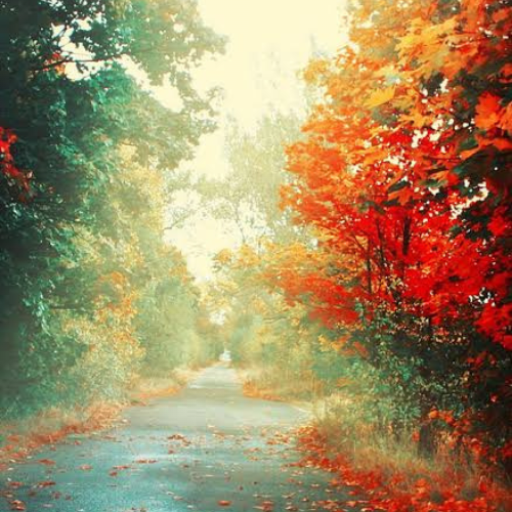 Beautiful Autumn Wallpaper HD logo