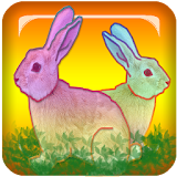 Find A Rabbit.It's a good game icon