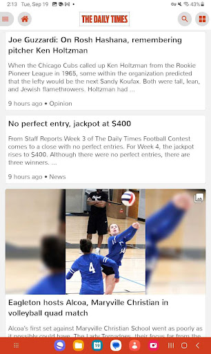 The Daily Times screenshot 6