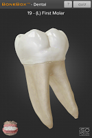 screenshot of BoneBox™ - Dental Lite