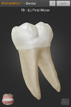 BoneBox™ - Dental Liteのおすすめ画像2