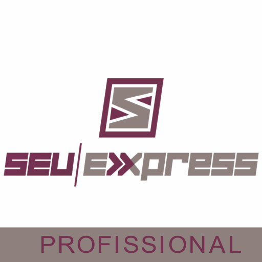 Seu express - Profissional logo