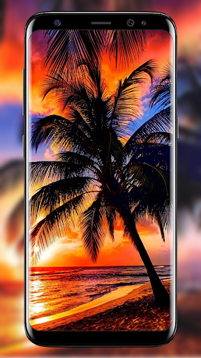 Boat dusk sea wallpaper sunset