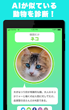 似てる顔の動物を診断するアプリ どうぶつカメラ そっくりな動物をai診断 Google Play ত অ য প