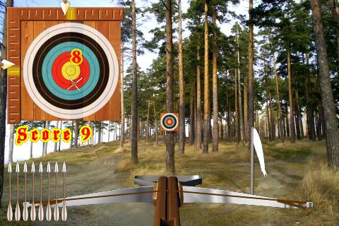 Crossbow Shooting Screen 3