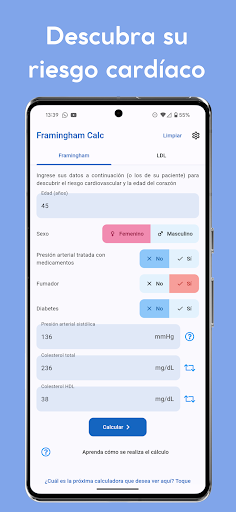Vista previa de la aplicación