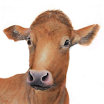 Cover Image of 下载 My Cattle Manager - Livestock farming app. 1.1.1 APK