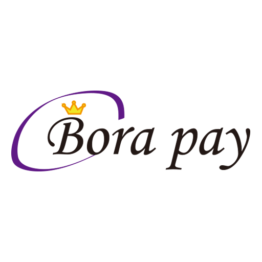 보라페이(BoraPay) logo