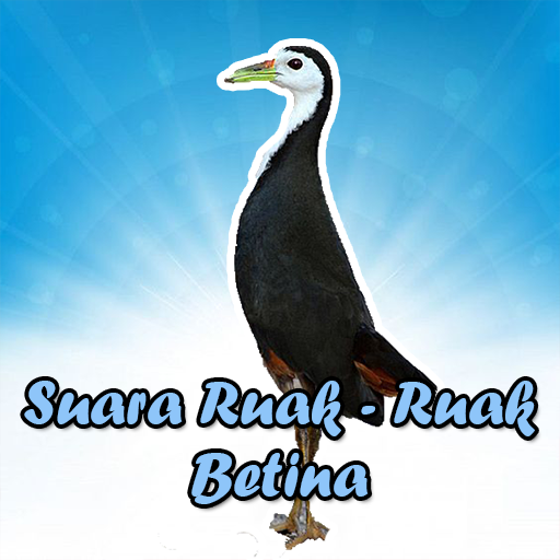 Suara Pikat Ruak Ruak Betina logo