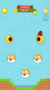 Protect The Pet 4
