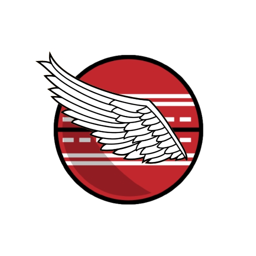 Angry Cricket Ball 123