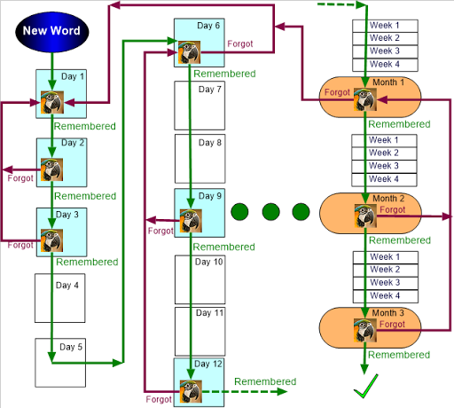 Learn English Vocabulary Lexic
