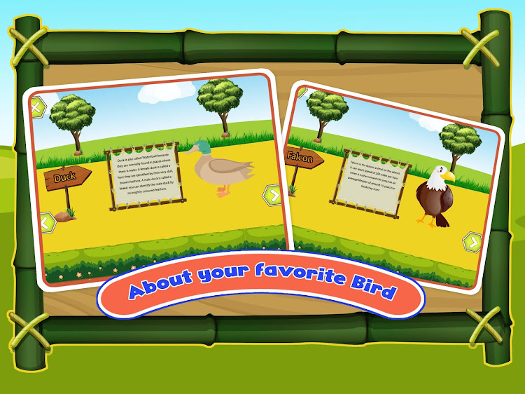 Bird Sounds Fun Learning Games - 2.3 - (Android)
