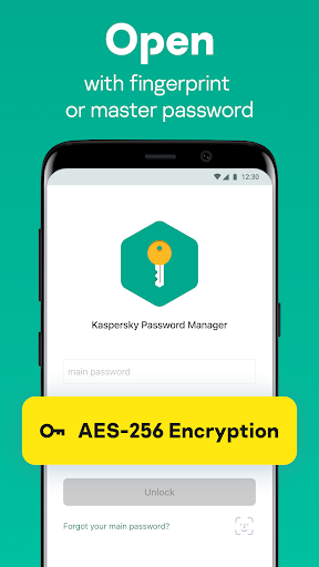 Kaspersky Password Manager 8