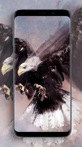 Eagle Wallpapers Screenshot 1 - AppWisp.com