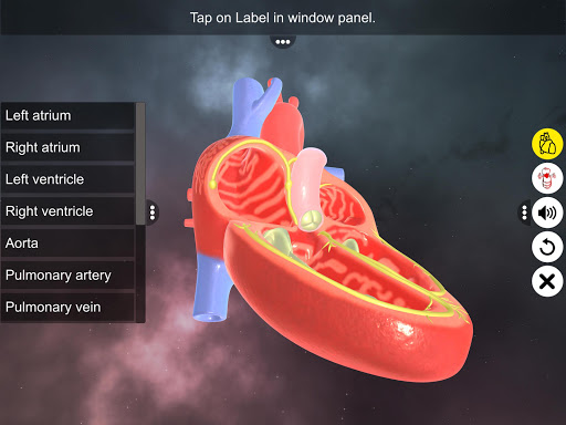 Double circulation Screen 2