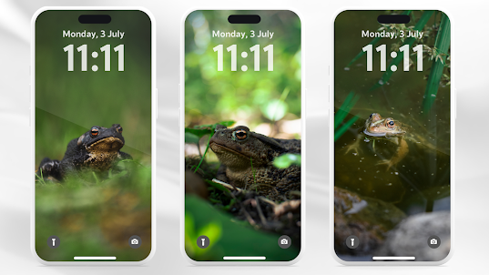 Frog Wallpaper