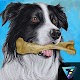 Dog Run Simulator – Pet Dog 2D 2021