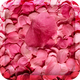 Flower Petals 3D Wallpaper HD icon