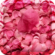 Top 50 Personalization Apps Like Flower Petals 3D Wallpaper HD - Best Alternatives