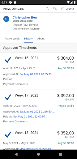 Copeo Employee Timesheets Screen 2