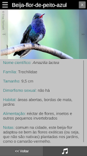 Bragantina Region Bird Guide