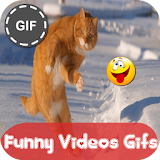Funny Videos 2018 Gif icon