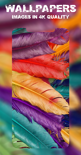 4D Parallax Wallpaper 3D