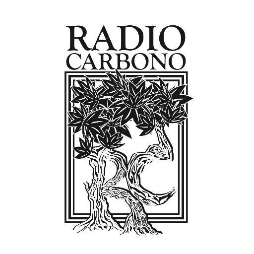Android application Radio Carbono screenshort