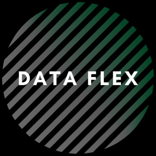 DataFlex - Easy Sheet Data logo