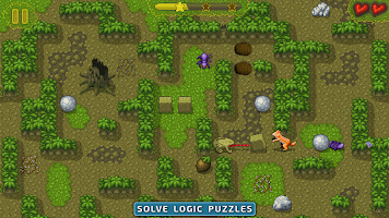 Sokoban Games: Puzzle in Maze