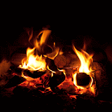 Fire Wood Live Wallpaper icon