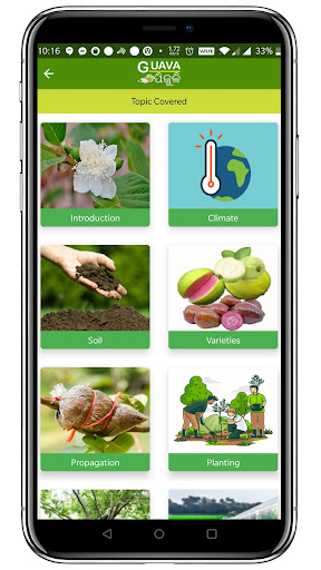 OUAT Guava Screen 2