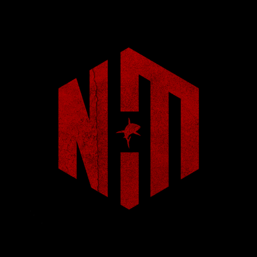 Team Noyma logo