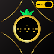 Top 46 Productivity Apps Like VIP Golden Pomodoro Timer PRO - Best Alternatives