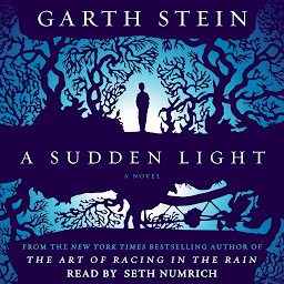 Icon image A Sudden Light: A Novel