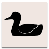 99 Ducks icon